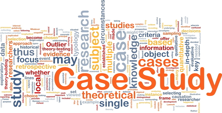 How to Analyse a Case Study