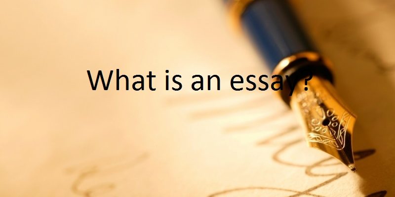 What is an essay?