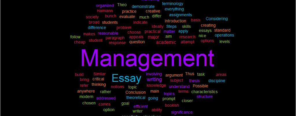 Essay on Management