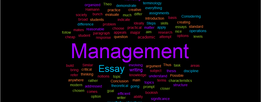 uk essay on management