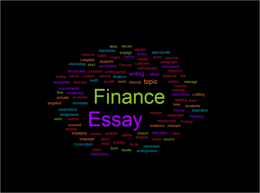 finance essay