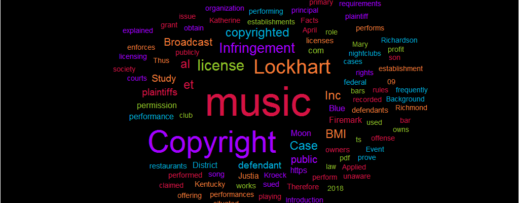 Copyright Infringement Case Study